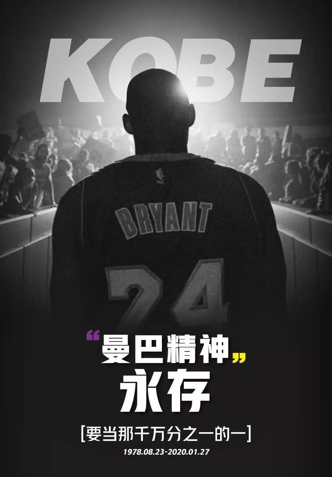 不仅是阵容